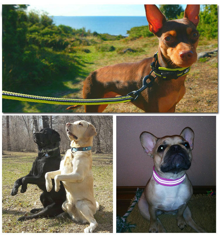 Pet Reflective Nylon Sandwich Breathable Mesh Collar