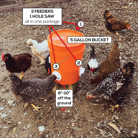 DIY Chicken Feeder Port Rainproof Poultry Feeder
