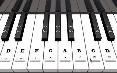 Piano Set Key Sticker Colorful Transparent